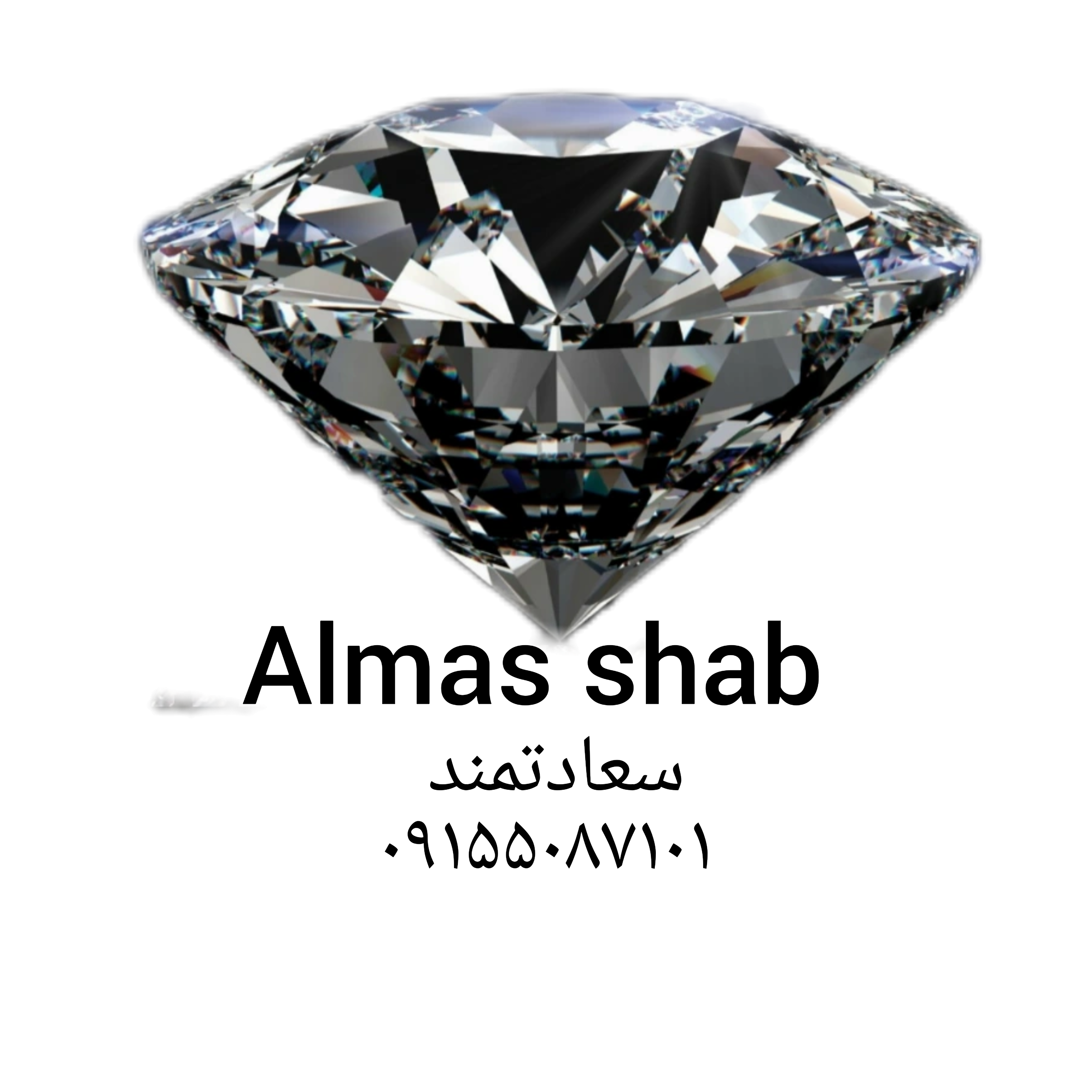 9155087101